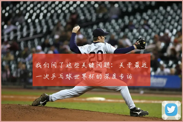 我们问了这些关键问题:关于最近一次乒乓球世界杯的深度专访