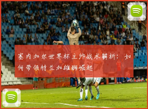 塞内加尔世界杯主帅战术解析：如何带领特兰加雄狮崛起