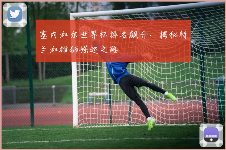 塞内加尔世界杯排名飙升，揭秘特兰加雄狮崛起之路